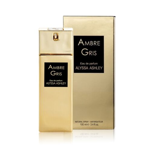 Alyssa Ashley Ambere Gris