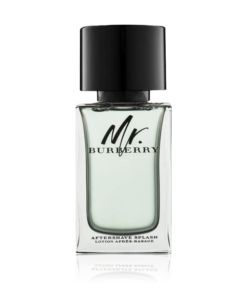 Burberry Mr Burberry