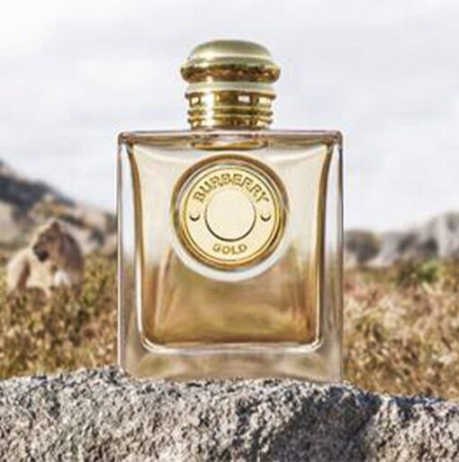Burberry Gold EDP