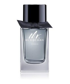 Burberry Mr. Burberry Indigo