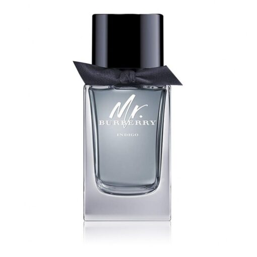 Burberry Mr. Burberry Indigo