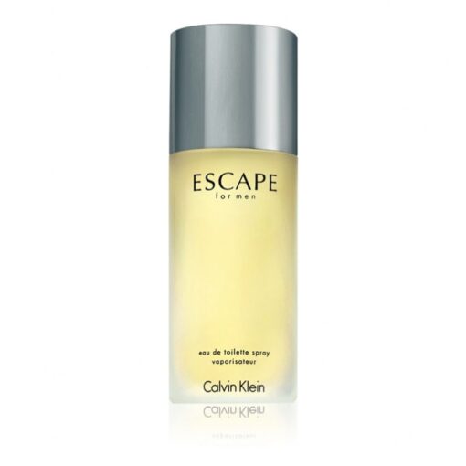 Calvin Klein Escape for Men