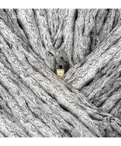 Chanel Les Exclusifs de Chanel Sycomore EDP