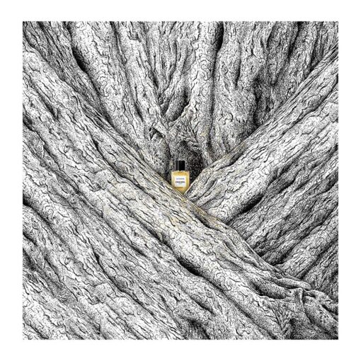 Chanel Les Exclusifs de Chanel Sycomore EDP