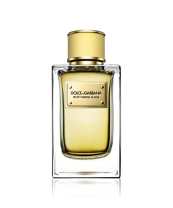 Dolce & Gabbana Velvet Mimosa Bloom