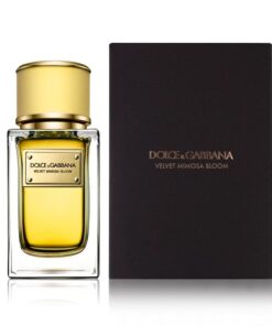 Dolce & Gabbana Velvet Mimosa Bloom