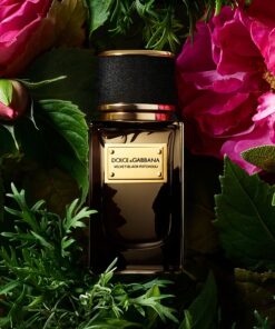Dolce & Gabbana Velvet Black Patchouli EDP