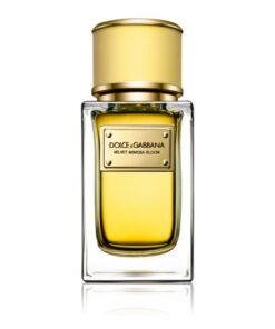 Dolce & Gabbana Velvet Mimosa Bloom