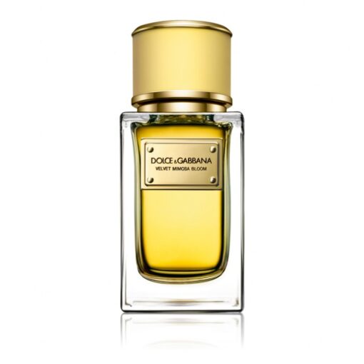Dolce & Gabbana Velvet Mimosa Bloom