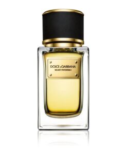 Dolce & Gabbana Velvet Patchouli