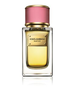 Dolce & Gabbana Velvet Rose