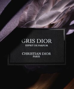Dior Gris Esprit De Parfum