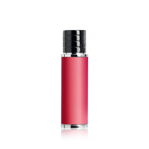 Dior Travel Spray Case
