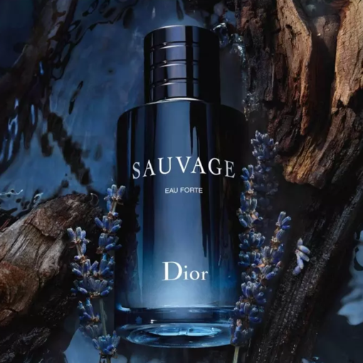 Dior Sauvage Eau Forte Parfum