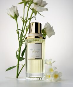 Estée Lauder Knowing Legacy EDP